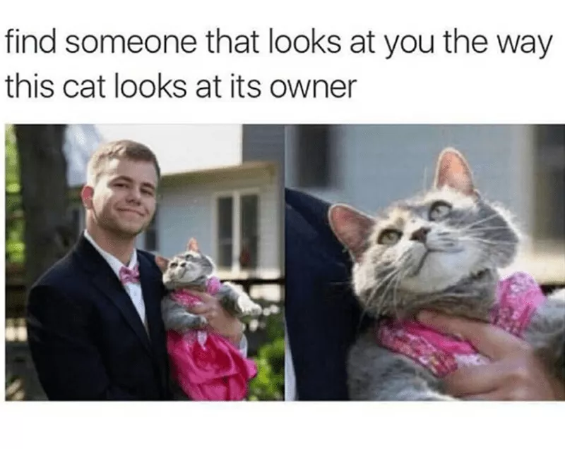 Posing for prom with cat