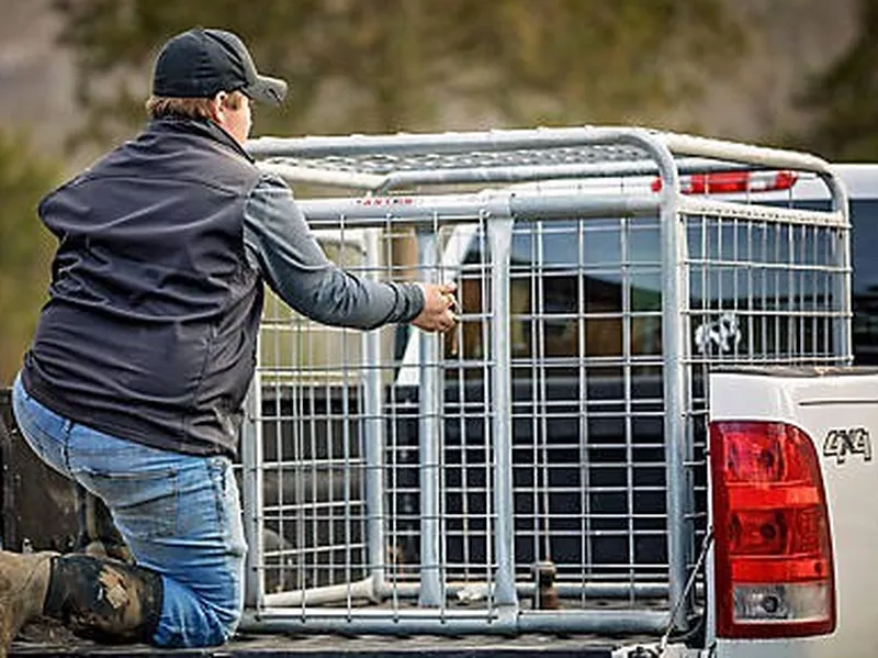 Tractor Supply dog kennel: Tarter Farm and Ranch Equipment Small Animal Transporter