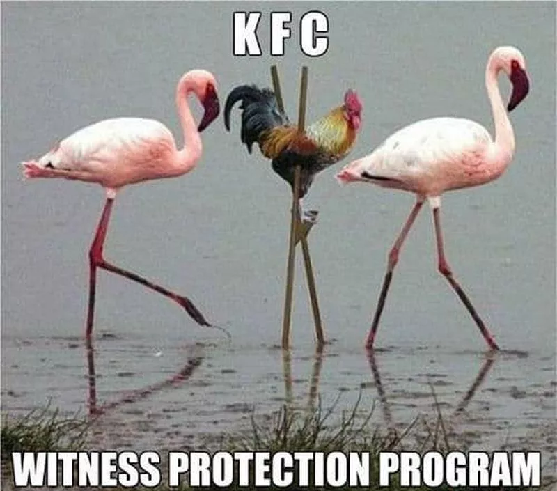 KFC witness protection program