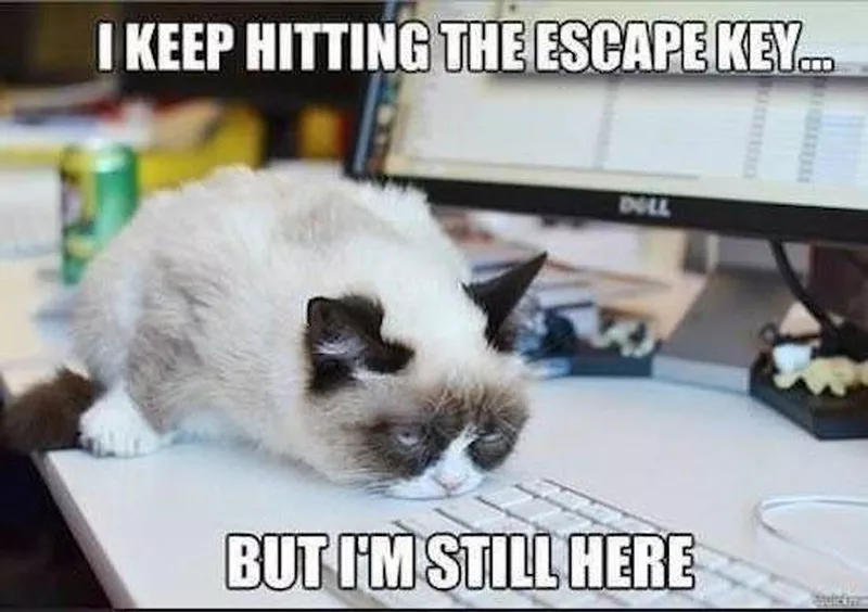 Hitting the escape key