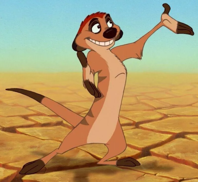 Timon