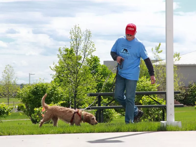 Dog Sniffing