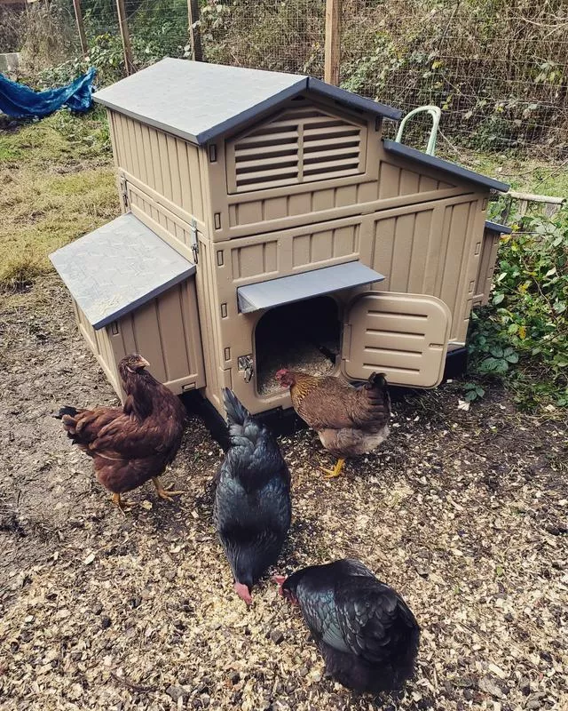 Snap Lock Large Plastic Chicken Coop, COOP33