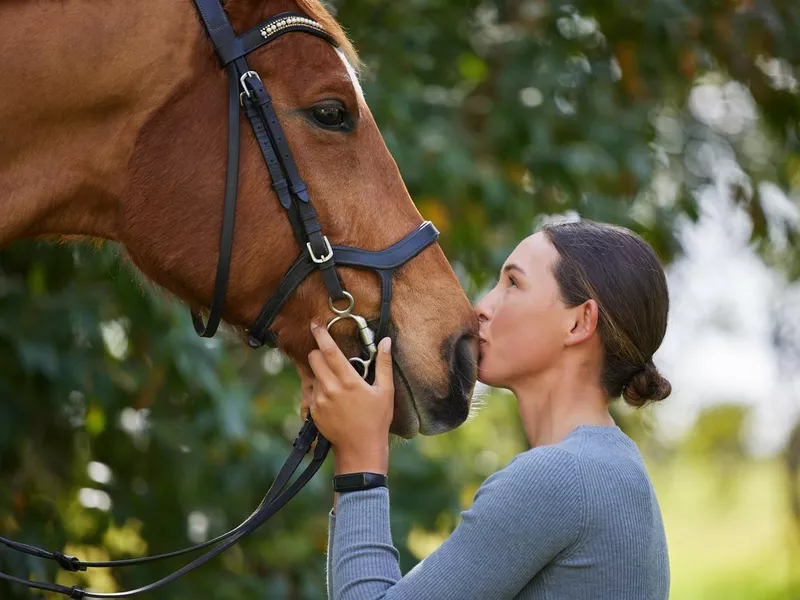 National Day of the Horse