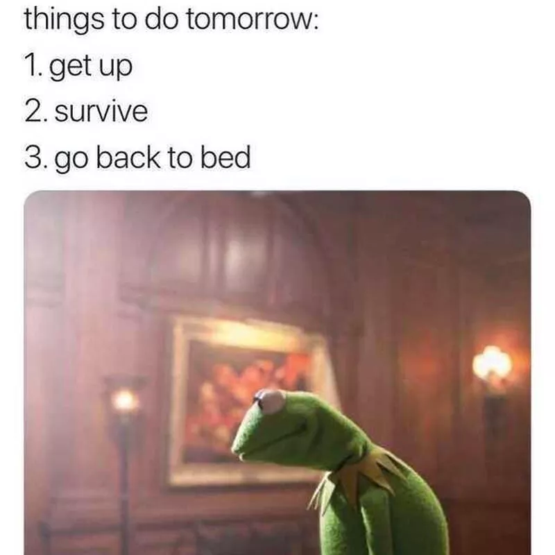 Kermit doing his best