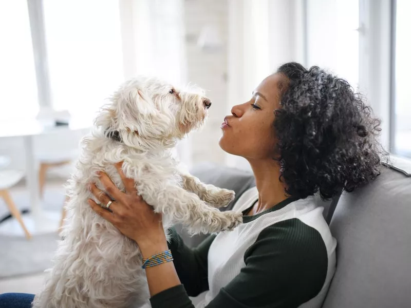 Portrait of happy mature woman sitting indoors at home, playing with dog.