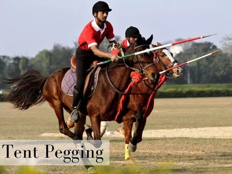Tent Pegging