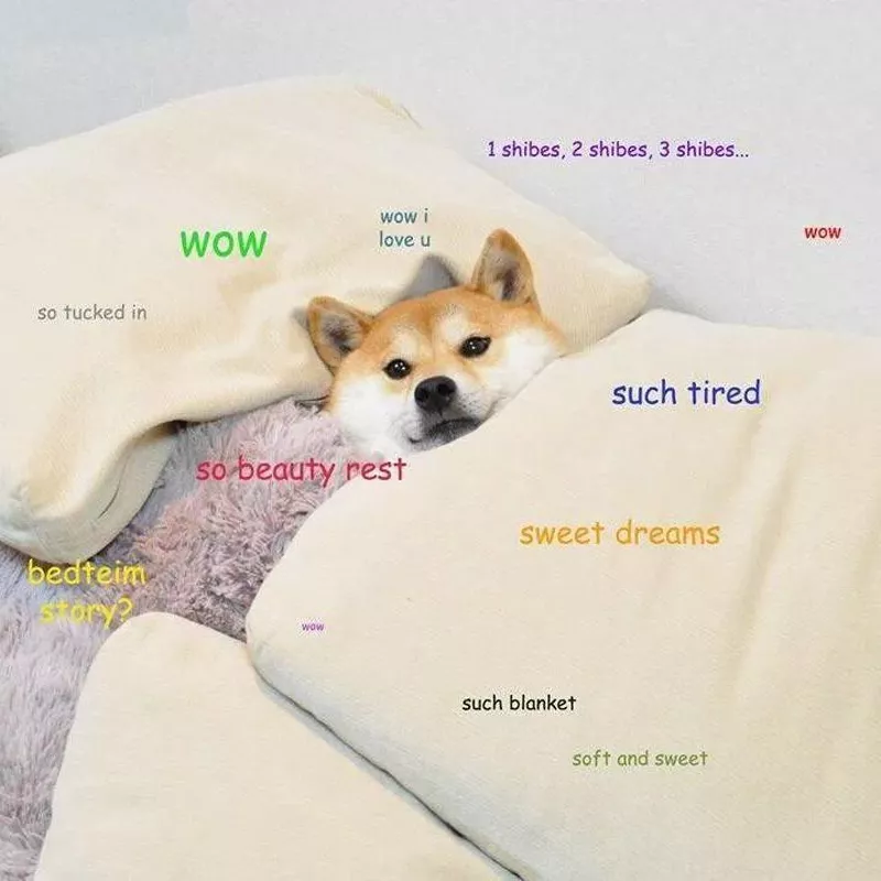 Sleepy doge meme