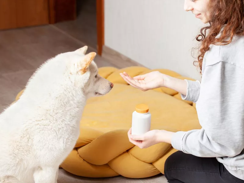 Woman giving her dog vitamins