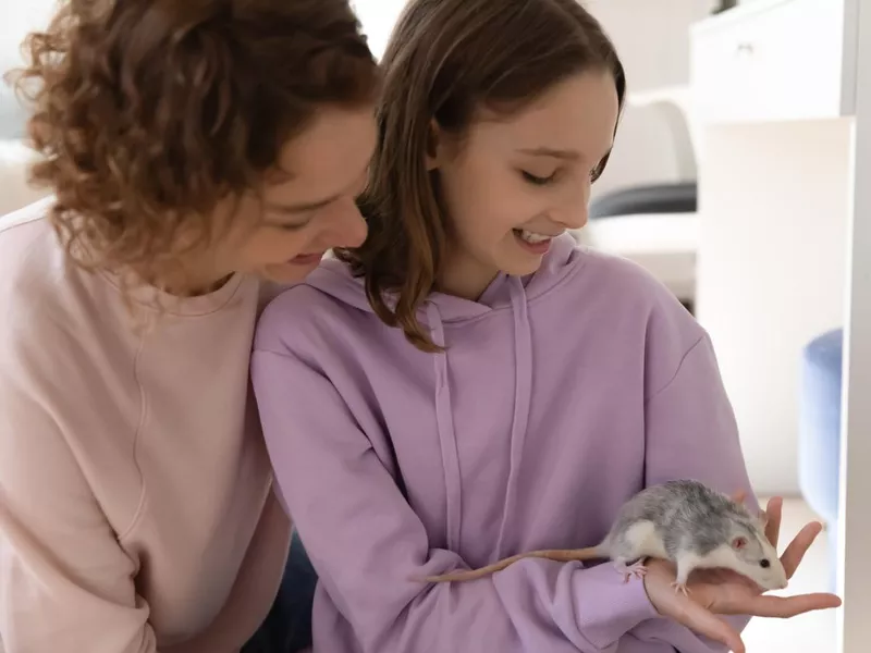 Mom and teenage daughter playing with domestic rat