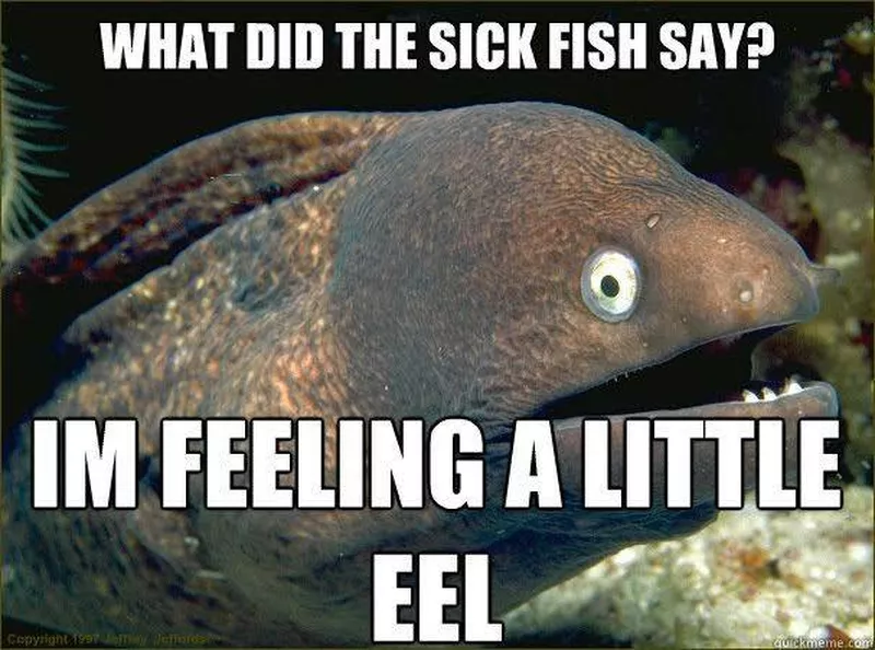 Eel meme
