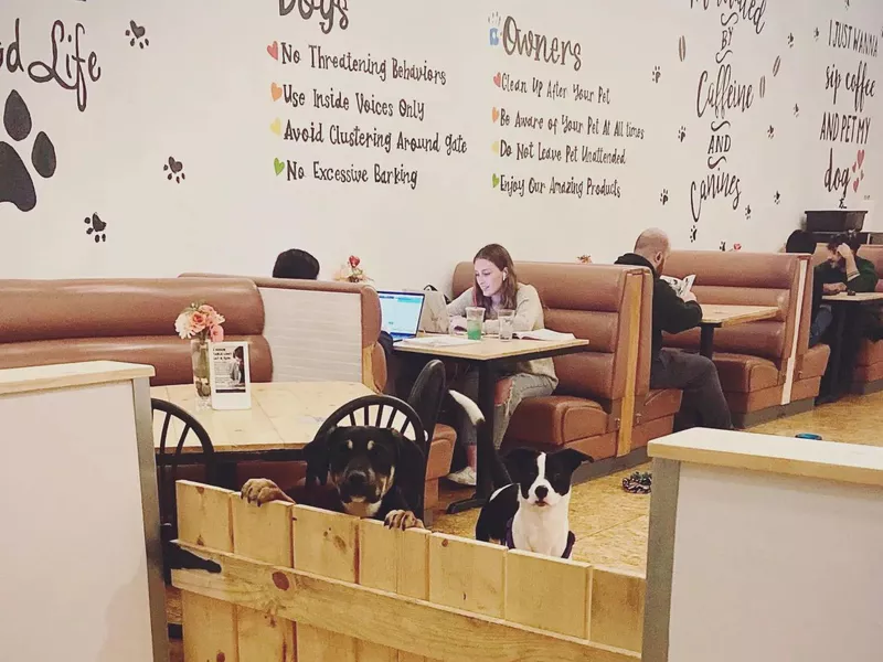 Pups & Cups