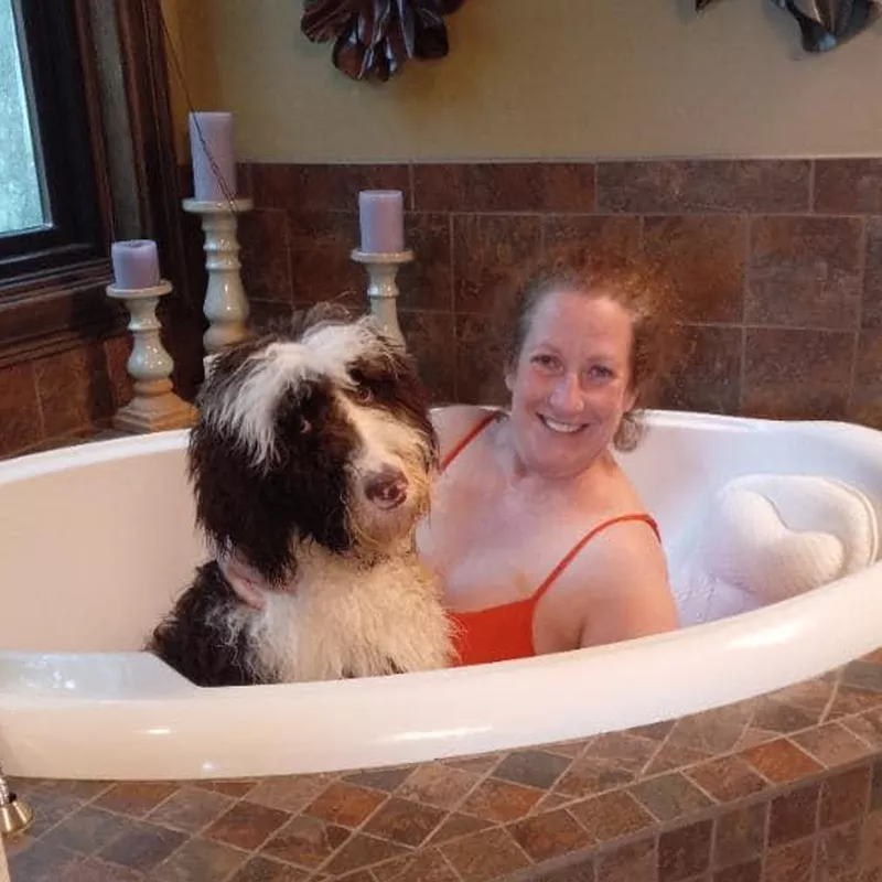 Sheepadoodle taking a bath with his owner