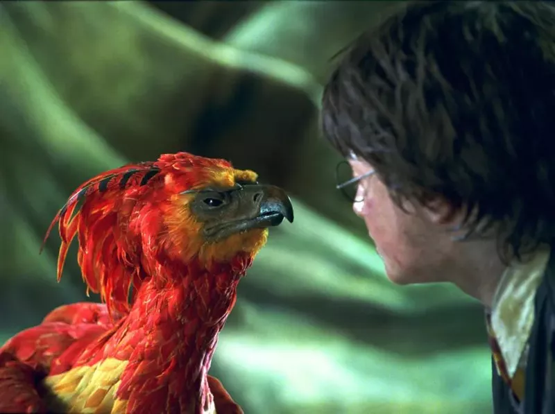 Fawkes
