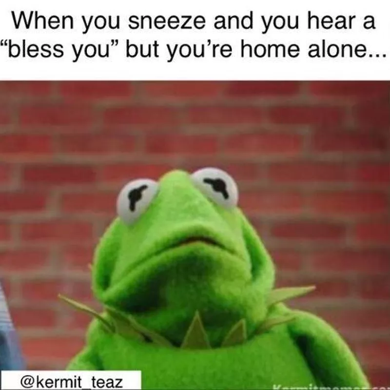 Home alone