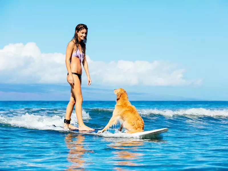 Young Woman Surfing with Her Dog