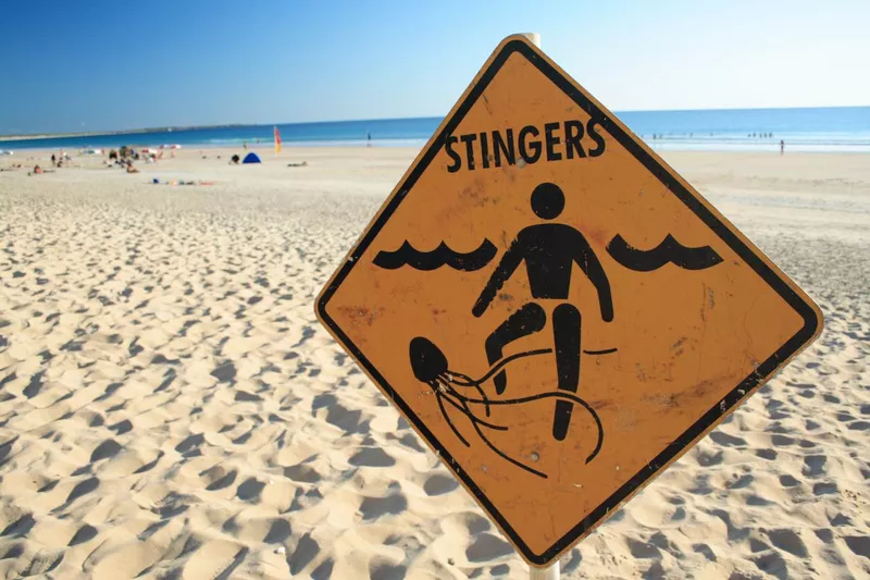 Stingers