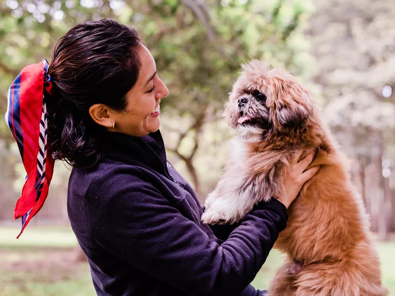 Adorable puppy in arms of loving owner