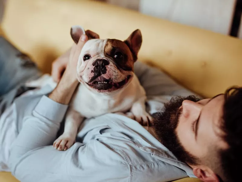 Man with his bulldog