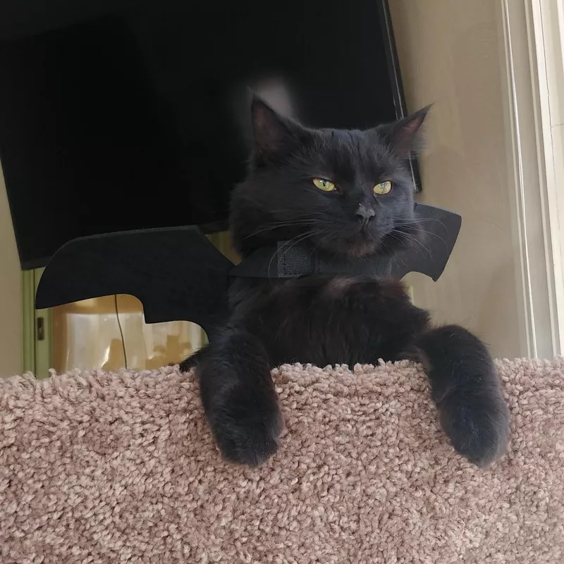 Puoyis Pet Cat Bat Wings