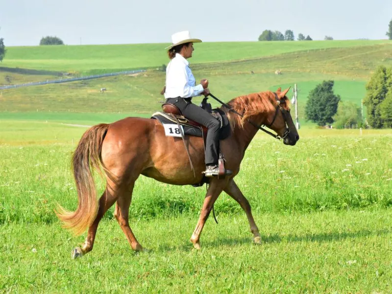 Woman riding Missouri Fox Trotter