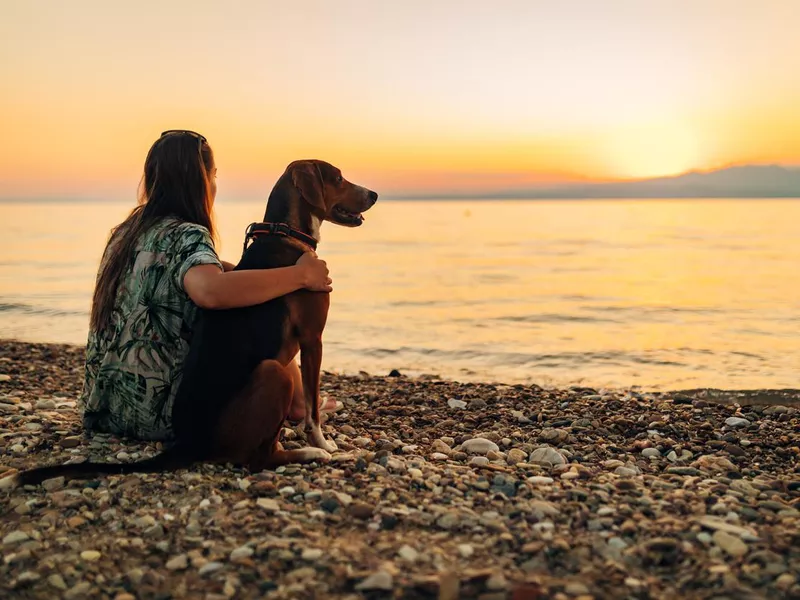 A dog owner and her pet are sitting hugging each other on the beach and watching the sunset