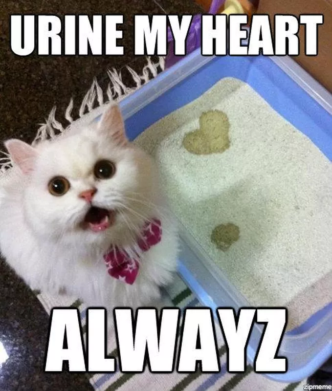 Heart shaped litter