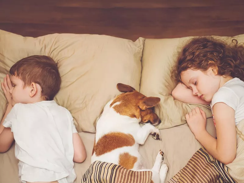 children and dog sleeping