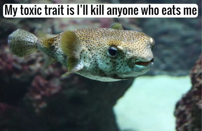 Toxic fish joke