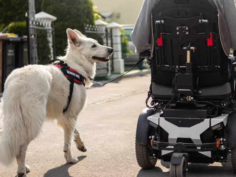 A disabled man leads a service dog