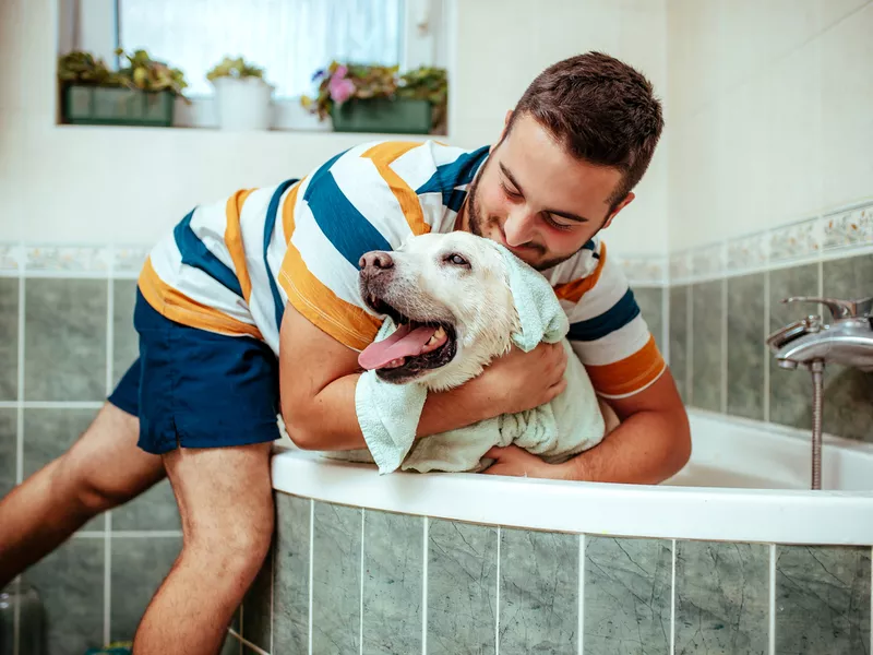 Grooming