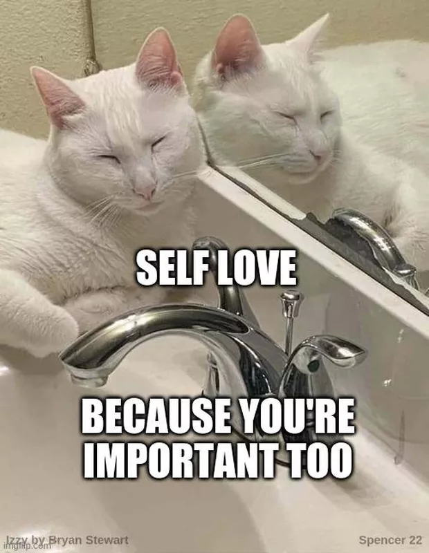 Sleeping on mirror