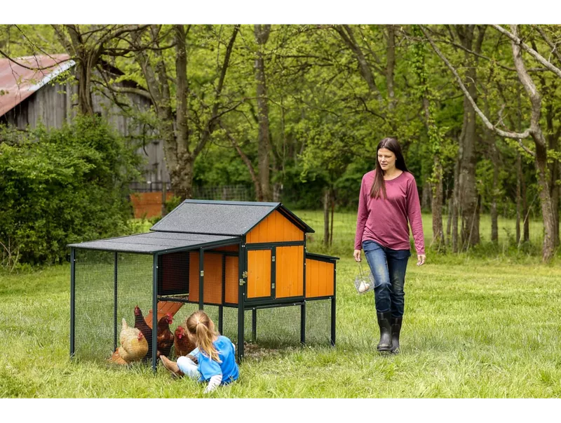 Producer's Pride Sentinel Chicken Coop, MDC001