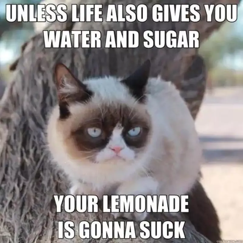 When life gives you lemons
