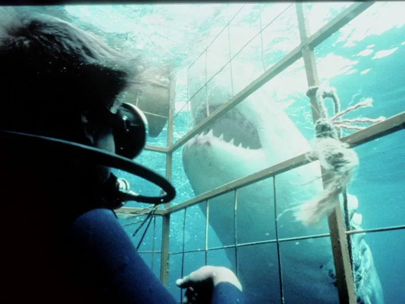 Rodney Fox shark attack