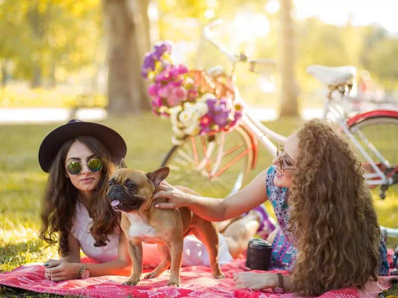 Best Friends Enjoying Picnic Together