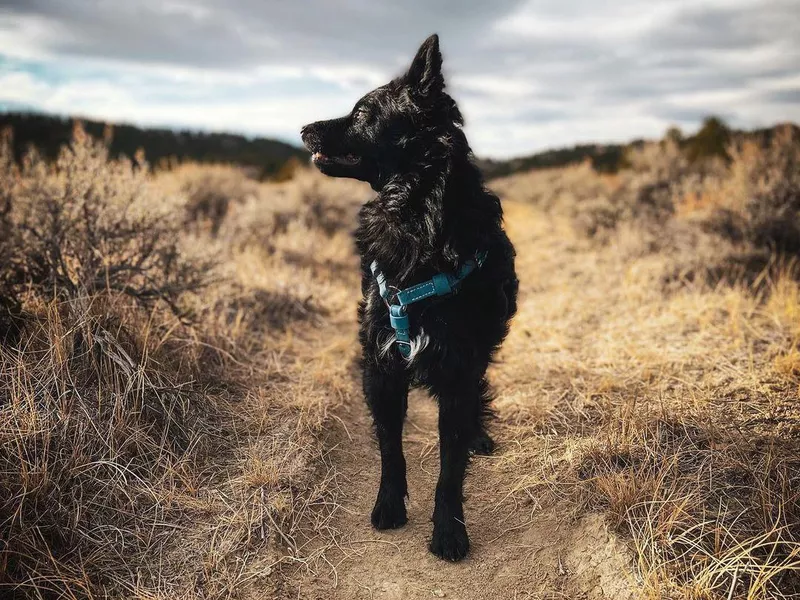 Enjoying the outdoors