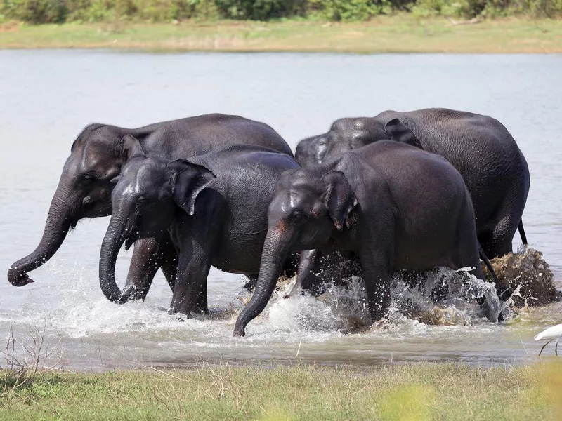 Running in water