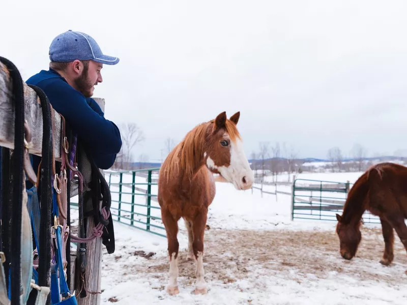 Rancher Admiring his Horses