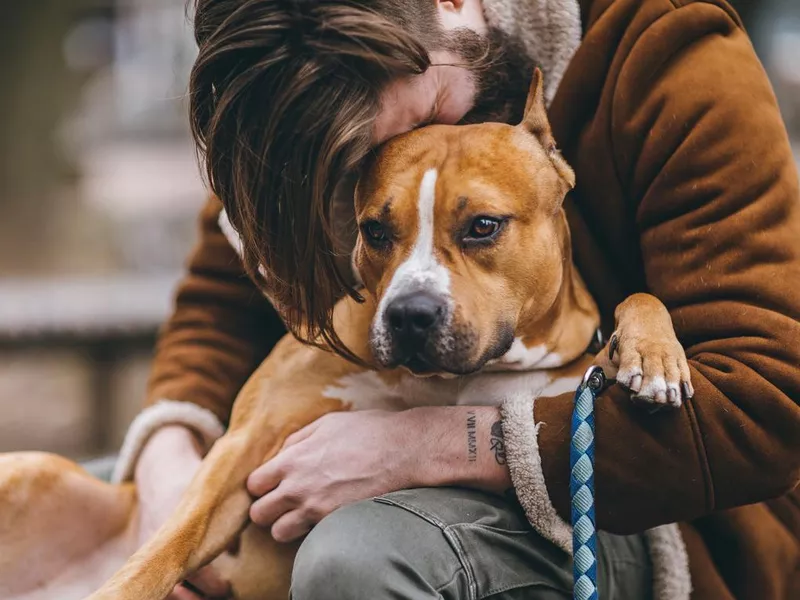 Man kissing his furry best friend