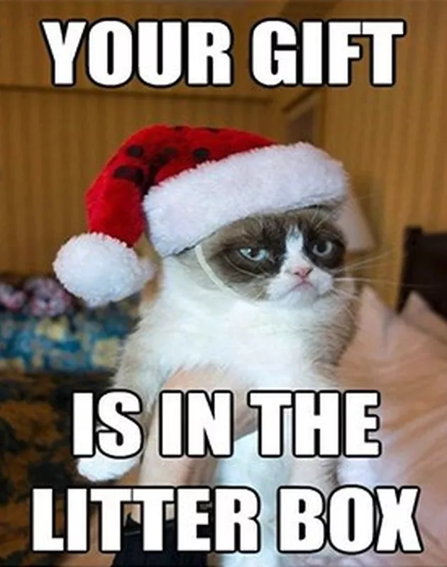 Litter box gifts