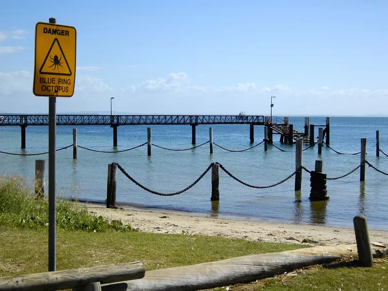 Danger at Stradbroke