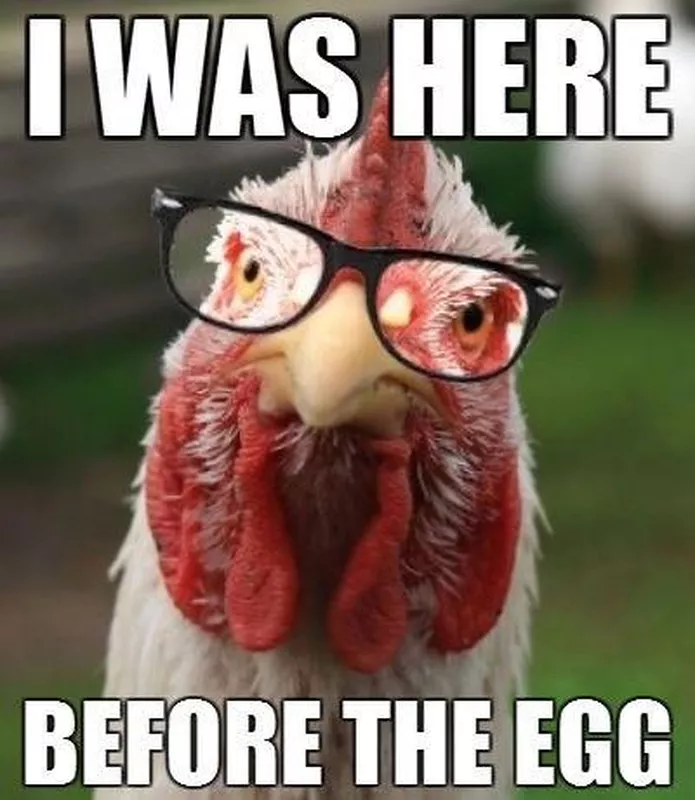 I was here before the egg