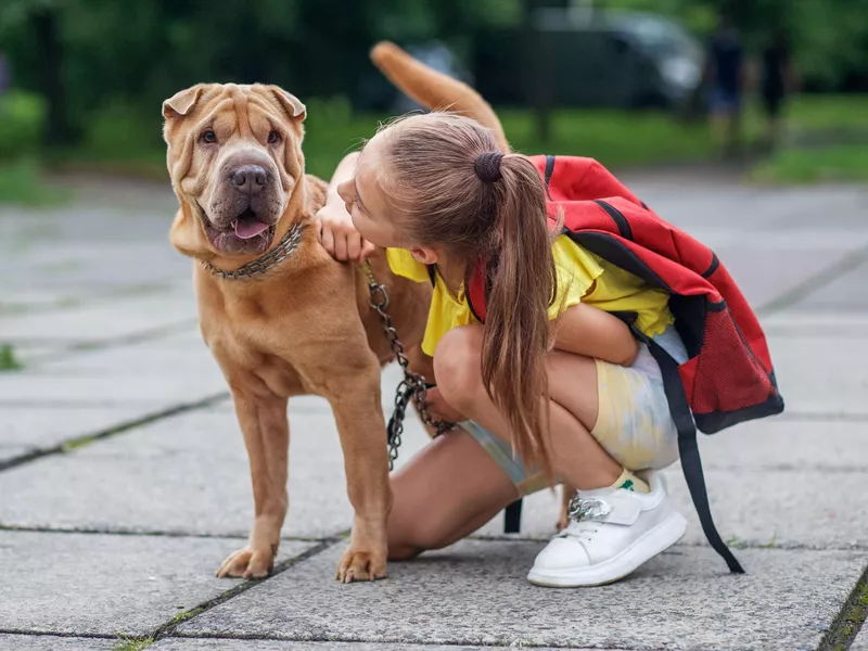 Girl having fun with dog
