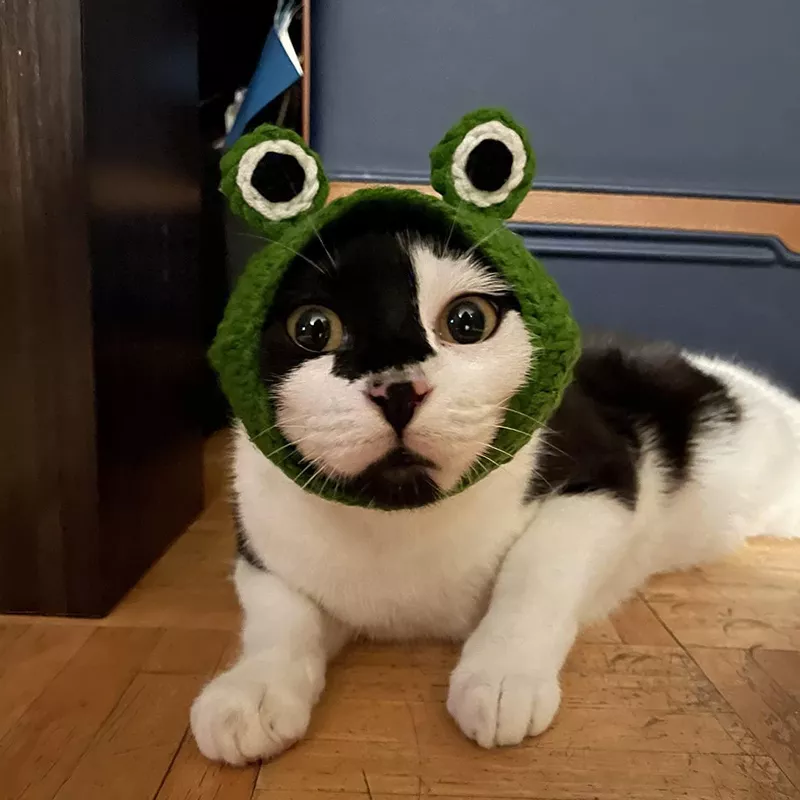Weewooday 5 Pcs Cat Hat Set