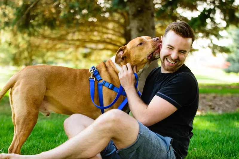 Pitbull kiss
