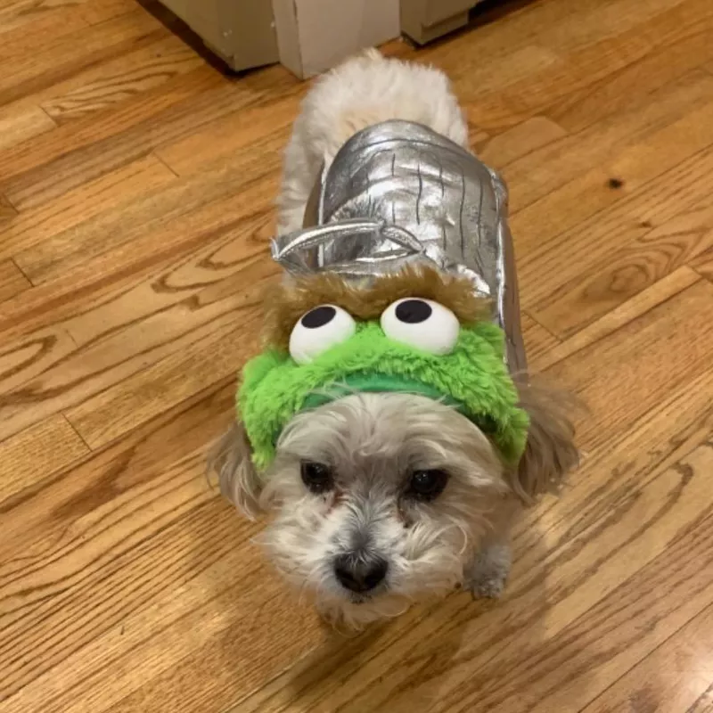 Pet Krewe Large Oscar The Grouch Dog Costume