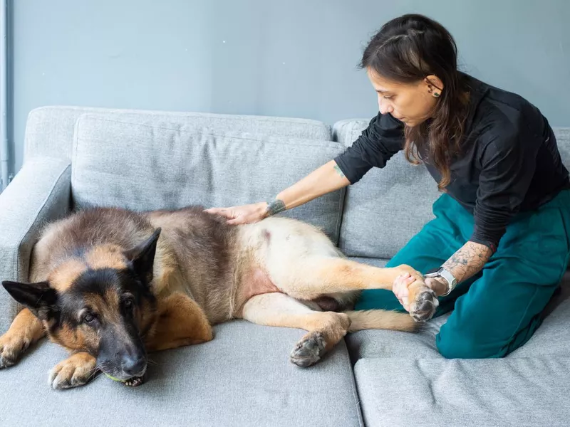 Woman taking care of her dog