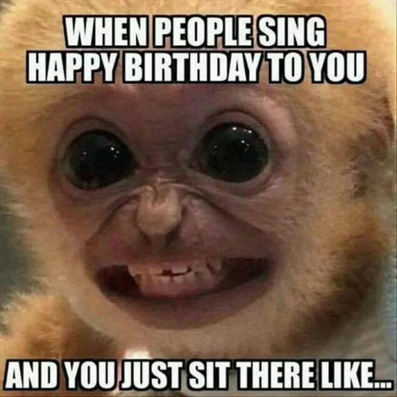 Little Monkey Smiling Meme