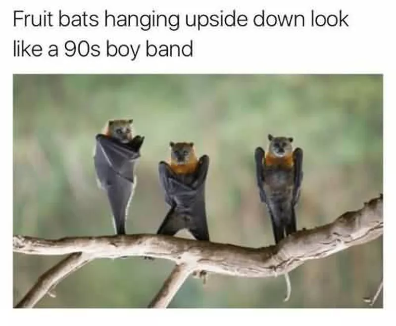 90s band